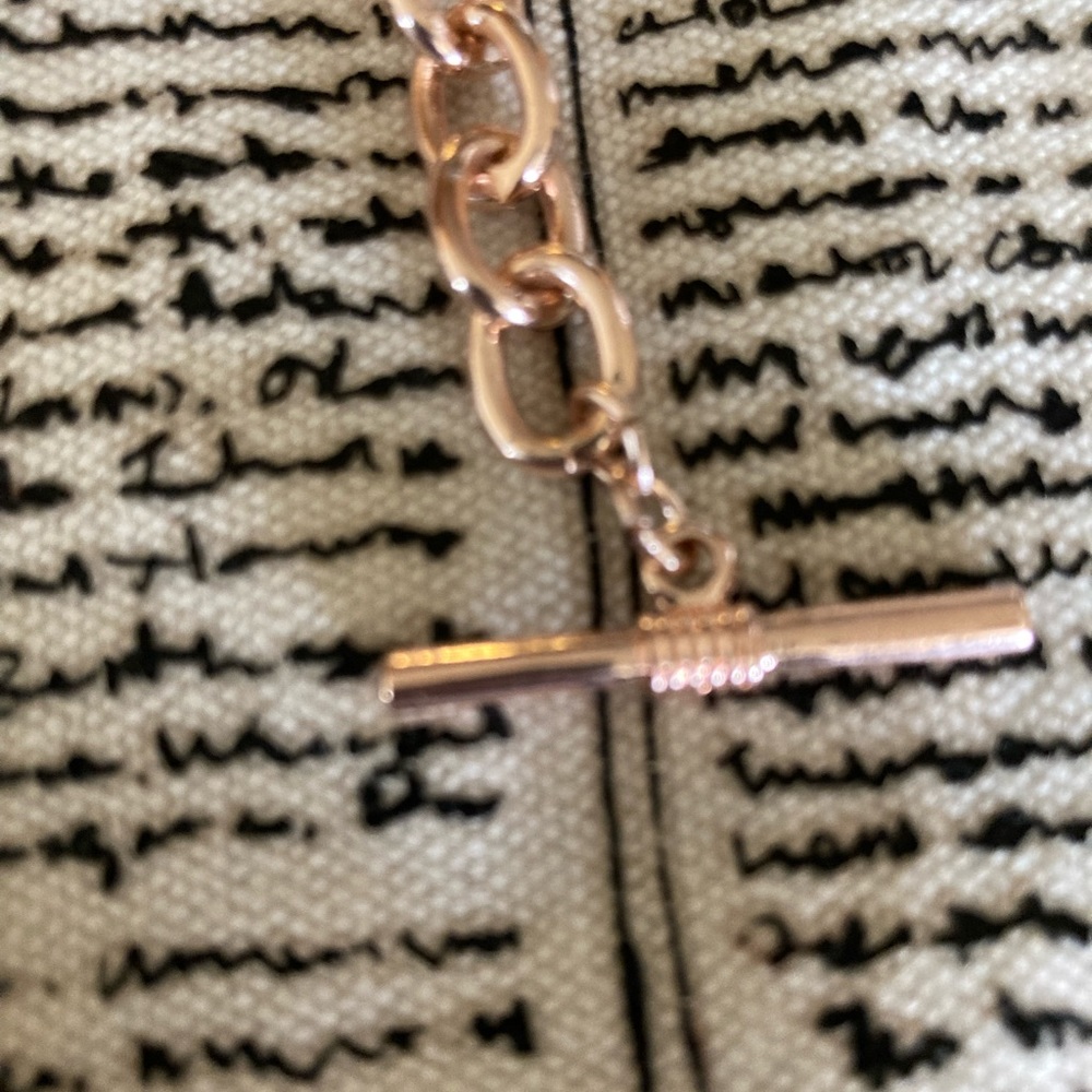 Bebe Rhinestone Charm Bracelet - Picture 9 of 10